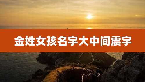 金姓女孩名字大中间震字