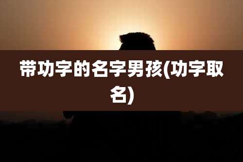 带功字的名字男孩(功字取名)