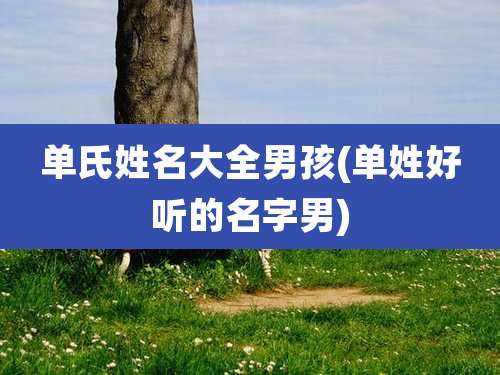 单氏姓名大全男孩(单姓好听的名字男)