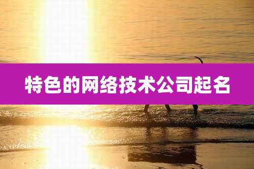 特色的网络技术公司起名