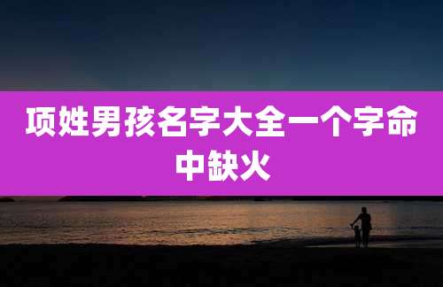 项姓男孩名字大全一个字命中缺火