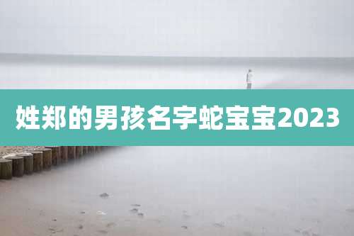 姓郑的男孩名字蛇宝宝2023