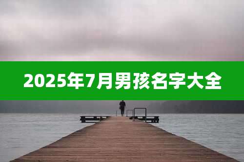 2025年7月男孩名字大全