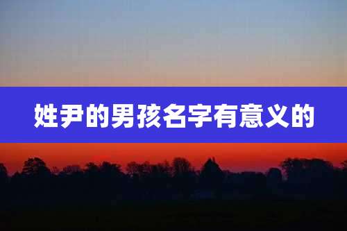 姓尹的男孩名字有意义的