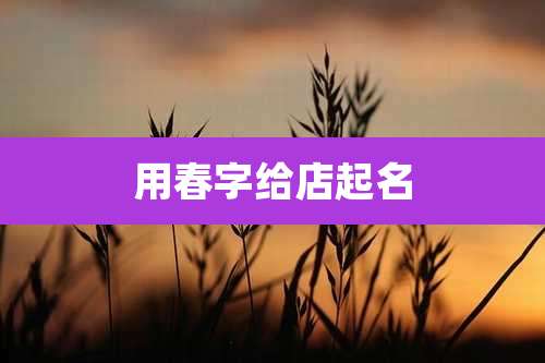 用春字给店起名