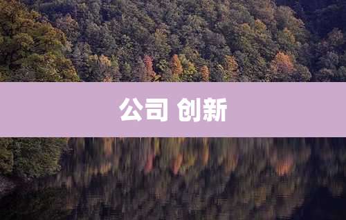 公司 创新
