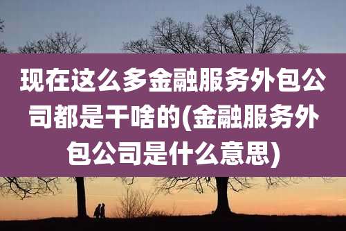 现在这么多金融服务外包公司都是干啥的(金融服务外包公司是什么意思)