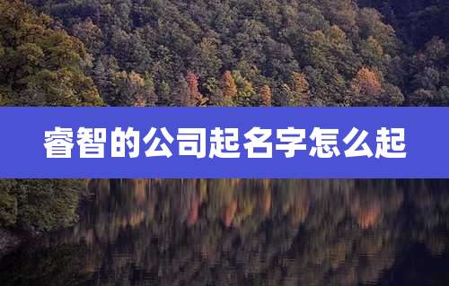 睿智的公司起名字怎么起