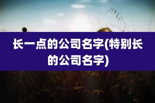 长一点的公司名字(特别长的公司名字)