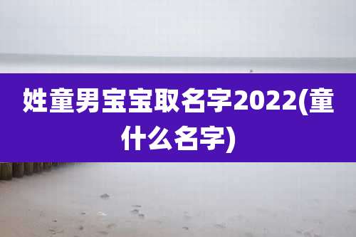 姓童男宝宝取名字2022(童什么名字)