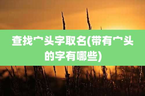 查找宀头字取名(带有宀头的字有哪些)