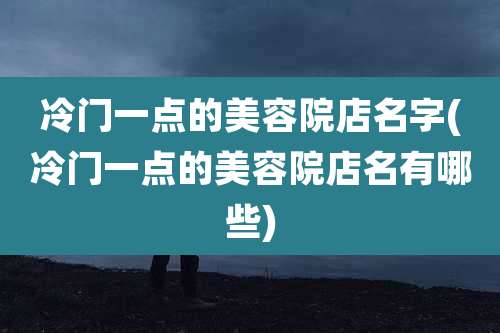 冷门一点的美容院店名字(冷门一点的美容院店名有哪些)