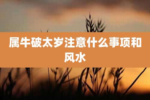 属牛破太岁注意什么事项和风水