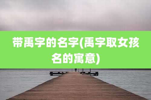 带禹字的名字(禹字取女孩名的寓意)