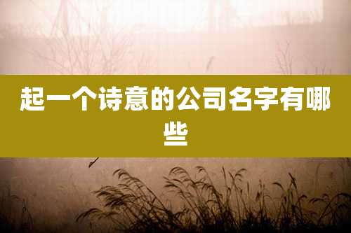 起一个诗意的公司名字有哪些