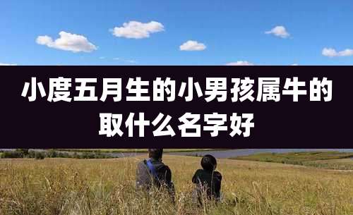 小度五月生的小男孩属牛的取什么名字好