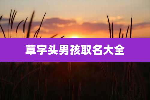 草字头男孩取名大全