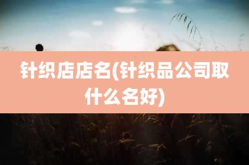 针织店店名(针织品公司取什么名好)