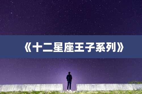 《十二星座王子系列》