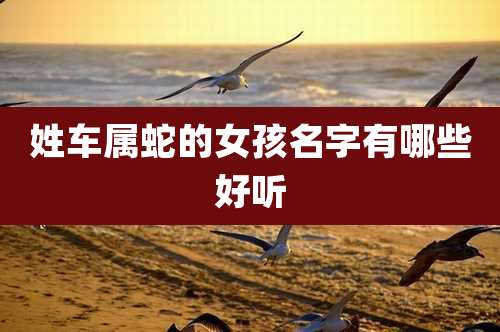 姓车属蛇的女孩名字有哪些好听