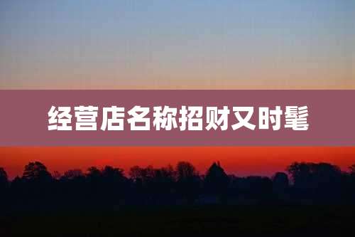 经营店名称招财又时髦