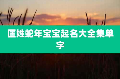 匡姓蛇年宝宝起名大全集单字