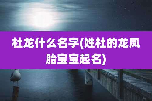 杜龙什么名字(姓杜的龙凤胎宝宝起名)
