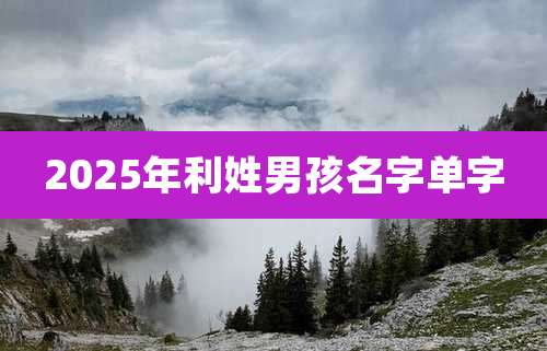 2025年利姓男孩名字单字
