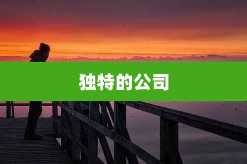 独特的公司