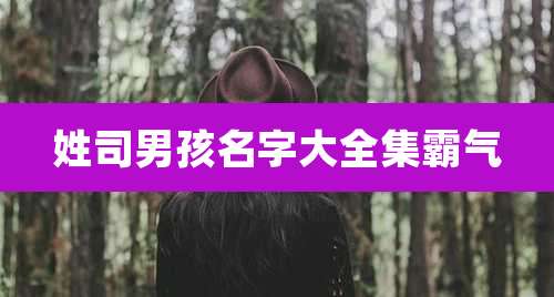 姓司男孩名字大全集霸气