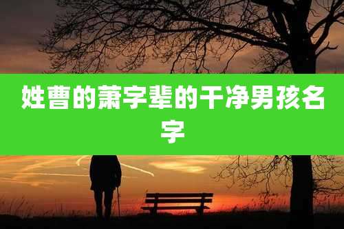 姓曹的萧字辈的干净男孩名字