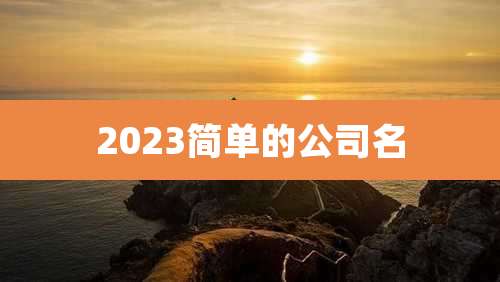 2023简单的公司名