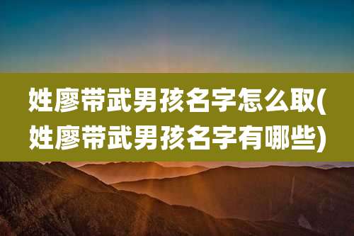 姓廖带武男孩名字怎么取(姓廖带武男孩名字有哪些)