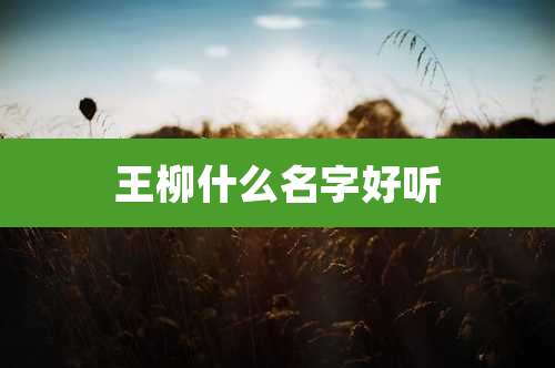 王柳什么名字好听