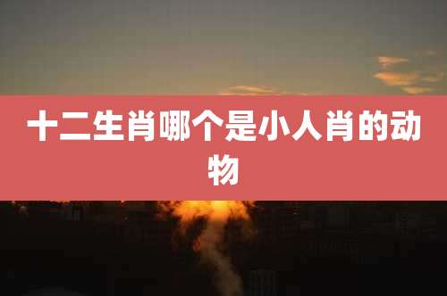 十二生肖哪个是小人肖的动物