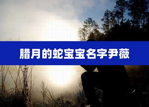 腊月的蛇宝宝名字尹薇