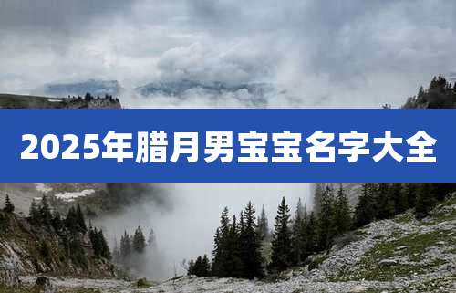 2025年腊月男宝宝名字大全