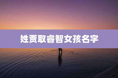 姓贾取睿智女孩名字