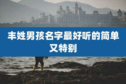丰姓男孩名字最好听的简单又特别