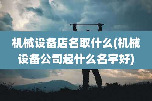 机械设备店名取什么(机械设备公司起什么名字好)