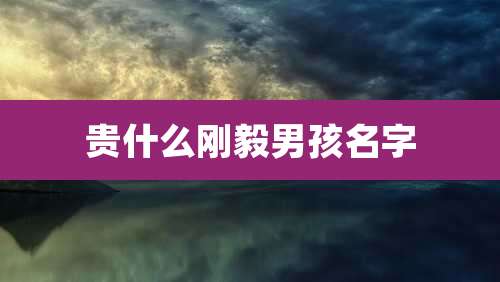 贵什么刚毅男孩名字