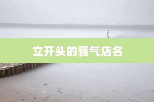 立开头的骚气店名