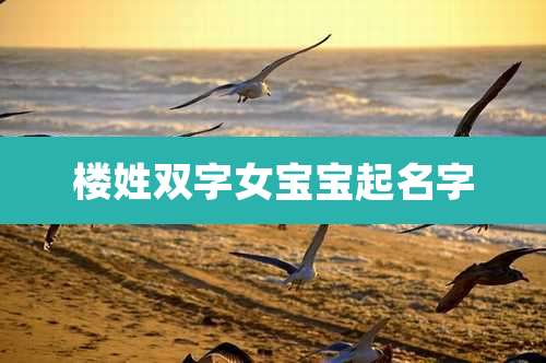 楼姓双字女宝宝起名字