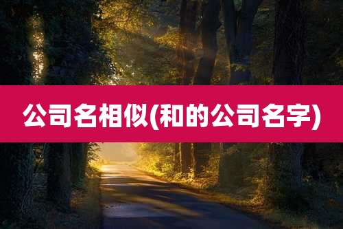 公司名相似(和的公司名字)