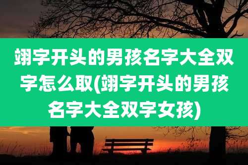 翊字开头的男孩名字大全双字怎么取(翊字开头的男孩名字大全双字女孩)