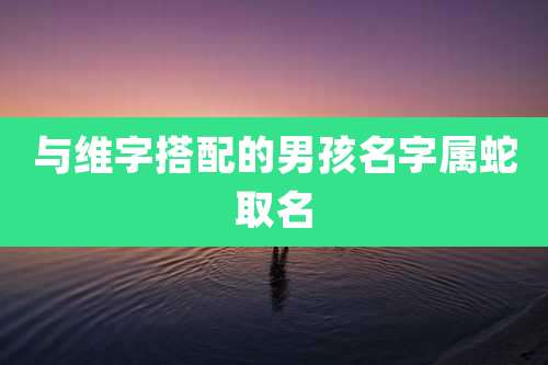 与维字搭配的男孩名字属蛇取名