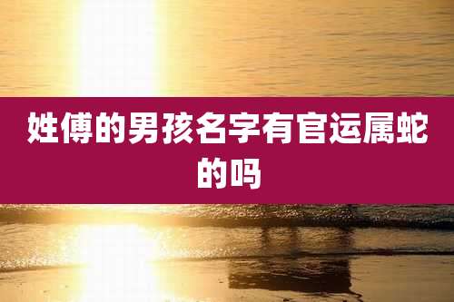 姓傅的男孩名字有官运属蛇的吗