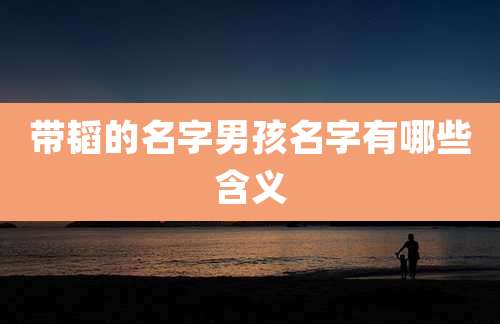 带韬的名字男孩名字有哪些含义