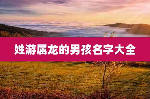 姓游属龙的男孩名字大全