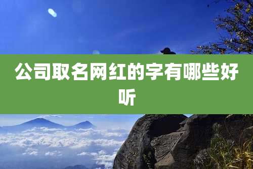 公司取名网红的字有哪些好听